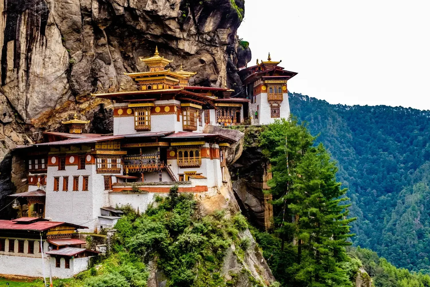 Bhutan Tour Package 6 Nights 7 Days | Thimphu, Punakha, Paro & Chele La Pass