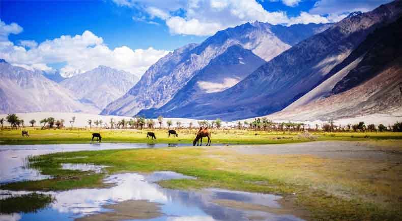 Leh Ladakh Tour Package with Nubra Valley & Pangong Lake – 6 Nights / 7 Days - Image 2