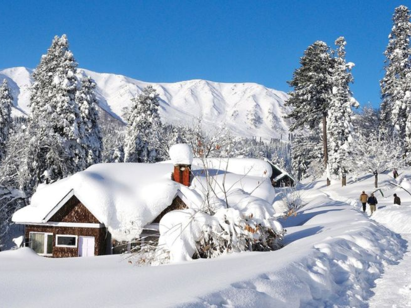 Kashmir Heavenly Retreat – 4 Nights / 5 Days - Image 3