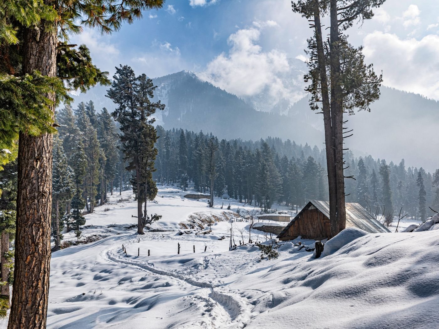 Kashmir Heavenly Retreat – 4 Nights / 5 Days - Image 4