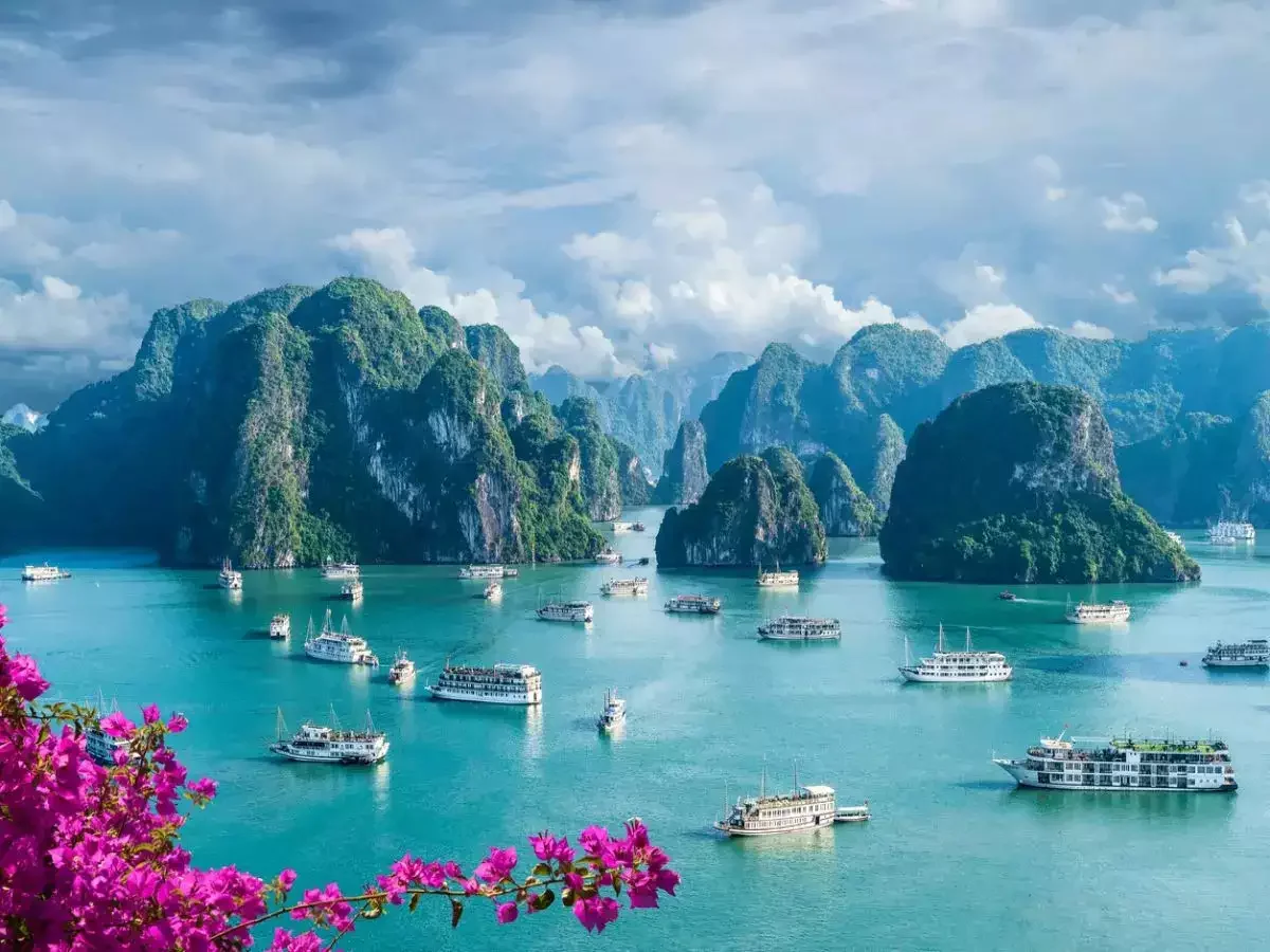 Vietnam Highlights Tour Package 5 Nights 6 Days with Ha Long Bay Cruise, Ba Na Hills & Mekong Delta - Image 3