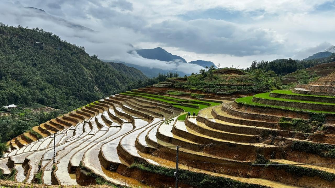 Vietnam and Cambodia All Inclusive Tour Package With Flights  - Image 4